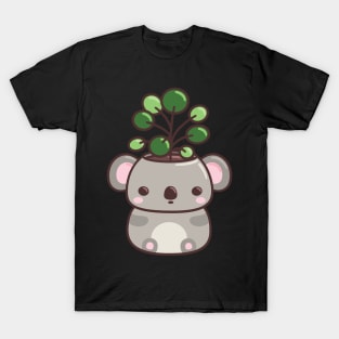 Koala Planter with Pancake Plant T-Shirt